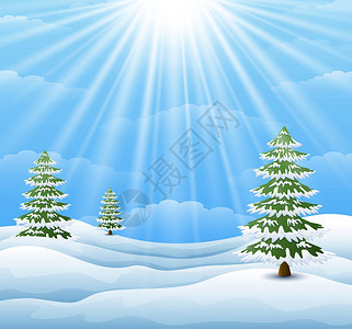 以松树和阳光背景说明冬季风貌图片