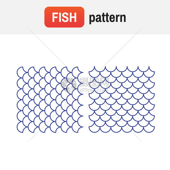 鱼类形态矢量说明图片