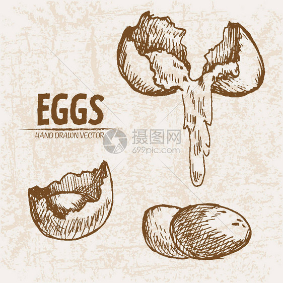 数字矢量详细线条艺术分解的刮痕和整只手绘制了回溯式插图集图片