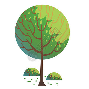 带有棕色树干和树枝的圆形绿树的矢量卡通图像图片