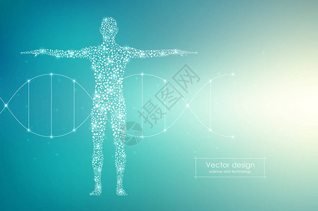 矢量人体与分子DNA医图片