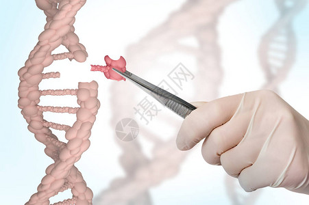 替换DNA的科学家之手基因工程和图片