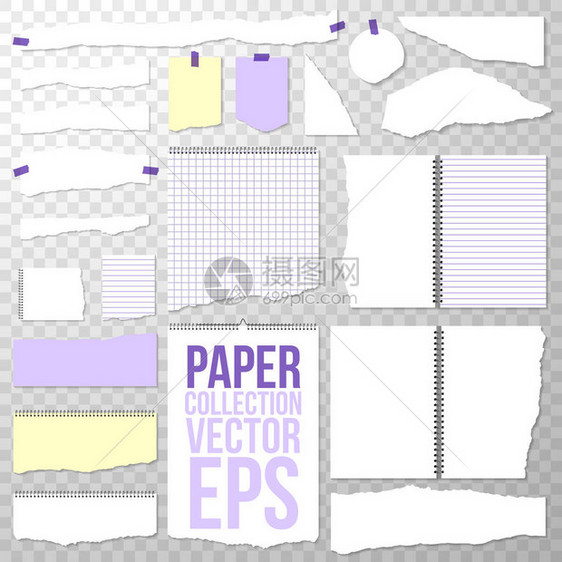 从螺旋装订笔记本上撕下的纸片在透明背景上隔离的干净或空白页面撕下活页夹白色方格纸和横格纸图片