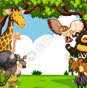 森林插图中有许多动物的场景图片