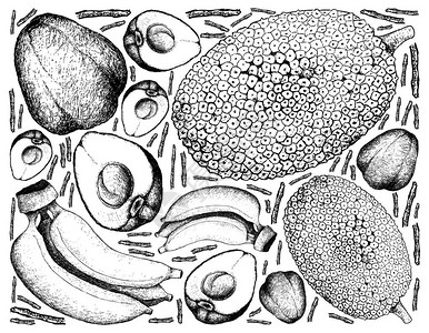 水果插图手绘画新波美拉克杰克菲鲁特和香蕉等白图片