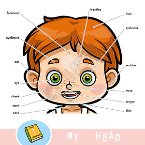 给孩子们看卡通视觉字典关于人的身体我的头部分是图片