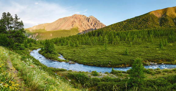 西伯利亚阿尔泰山区夏季山河的美图片