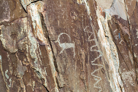 Petroglyphs在俄罗斯阿尔泰山的图片