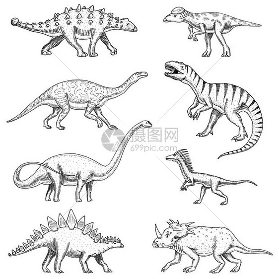 恐龙集三角龙重龙霸王龙龙厚头龙梁龙恐爪龙迅猛龙骨骼化石史前爬行动物图片