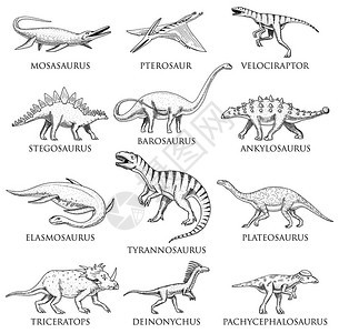 恐龙集图片