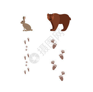 森林动物与脚印卡通风格彩色矢量插图野生自然哺乳动物的集合与轨道剪影图片