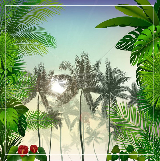 用棕榈树和叶描绘热带晨景的矢量图解图片