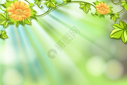 背景设计与鲜花和明亮的灯光插图图片