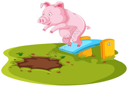 猪在泥泞的水坑中跳跃插图图片