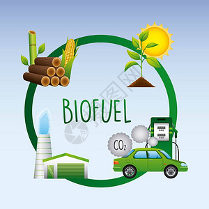 生物燃料生命周期汽车生物质乙醇工厂植物甘蔗太阳排放二氧图片
