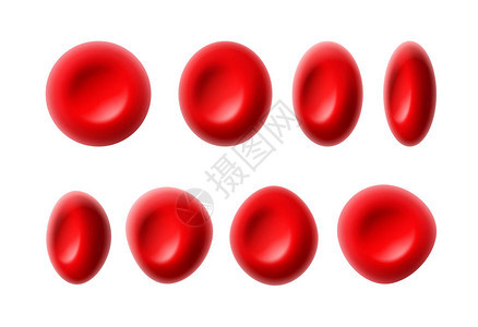 白色背景上分离的红血细胞或红背景图片