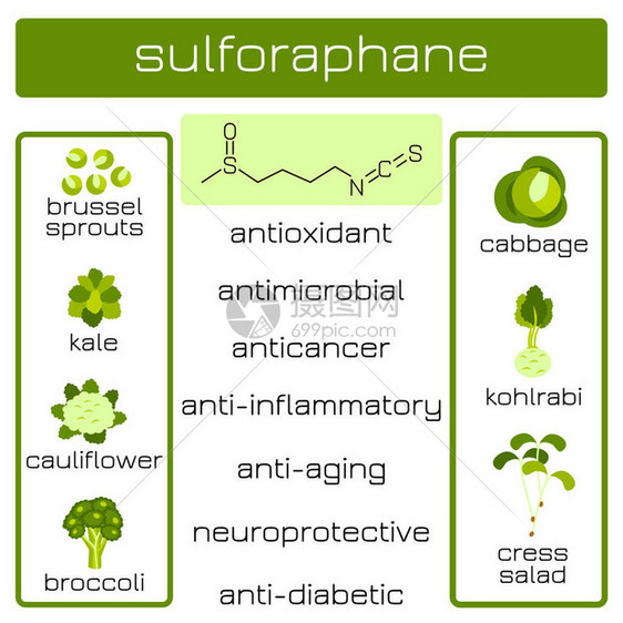 具有抗癌抗菌等功效的植物来源萝卜硫素有机化合物图片