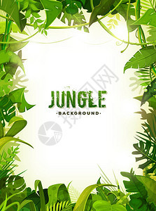 丛林框架带有用热带植物和树木叶和树叶背景图片