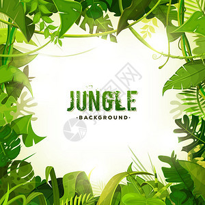 丛林框架带有用热带植物和树木叶和树叶背景图片