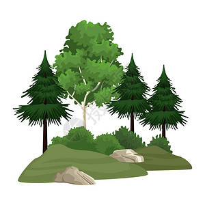 树木和灌木矢量插图平面设计图片