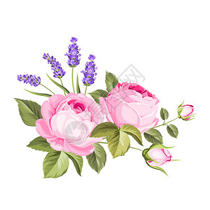 春花束彩色花蕾园玫瑰和熏衣草花的标图片