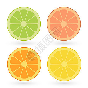 向量集的柠檬橙子酸橙葡萄柚片在白色背景下分离图片