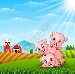 三只小猪在农场玩耍的矢量图解图片