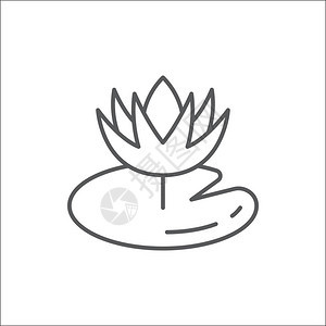睡莲花叶可编辑轮廓图标像素完美象征睡莲科绽放在白色背景上的细线艺术图片