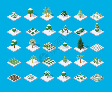 冬季圣诞树公园和城市基础设施的灌木丛图片