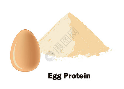 蛋粉和整颗蛋矢量说明身体图片