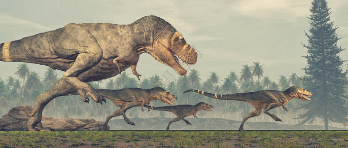 恐龙家族暴龙雷克斯这背景图片