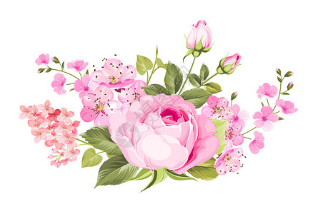 花朵盛满紫玫瑰沙库拉和利拉克图片