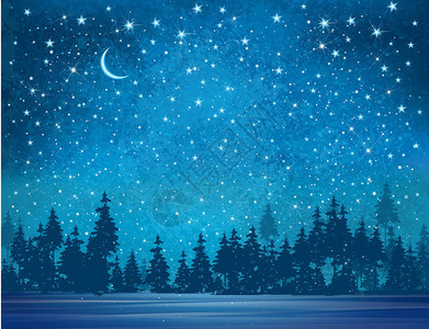 繁星点的夜空和白雪皑的森林图片
