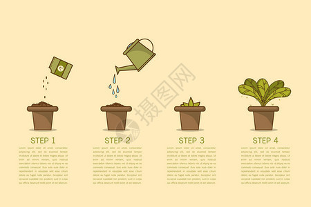 生长的植物阶段种子喷壶发芽和种植物花盆里的室内植物盆中带叶的室内植物线型平面矢量图解细背景图片