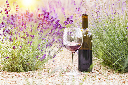 地上的红酒瓶和酒杯瓶酒反对薰衣草景观法国普罗旺斯夏季薰图片