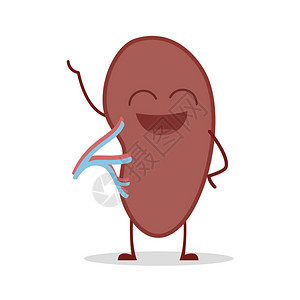 以卡通风格展示一个健康和有趣的脾图片