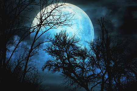 晚上或晚上从山上看月亮图片