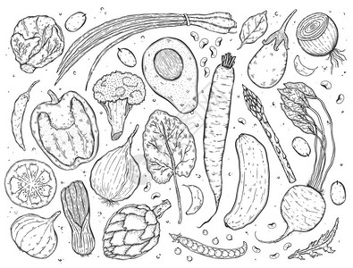 矢量大套蔬菜在现实素描风格单色健康食品天然产品蔬菜农场纯素食品营图片