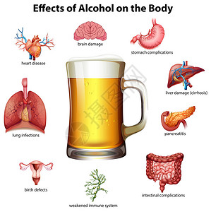 酒精对身体的影响插图图片