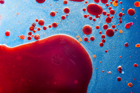 蓝色背景特写上的血细胞红色气泡医学和科学的抽象人体微过程图片
