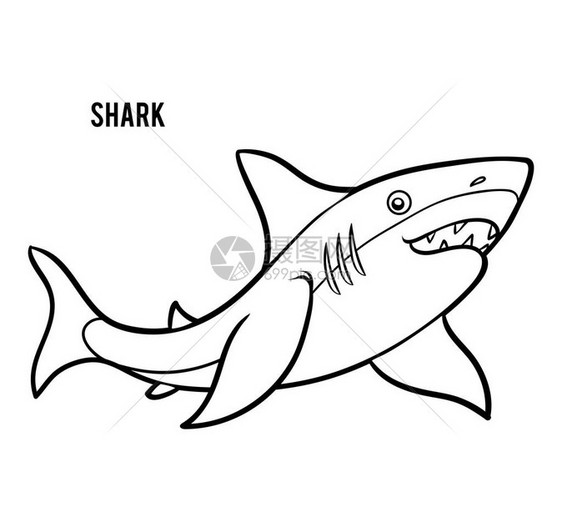 儿童图画书卡通动物鲨鱼图片