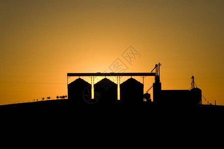 巴西农场在存储筒仓后的日落机械剪影粮食储藏库里蒂巴诺斯插画