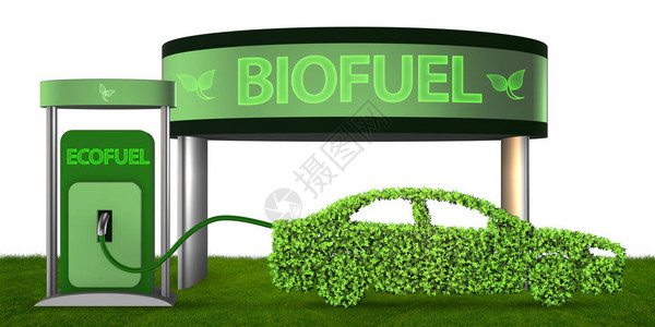 由生物燃料驱动的车图片