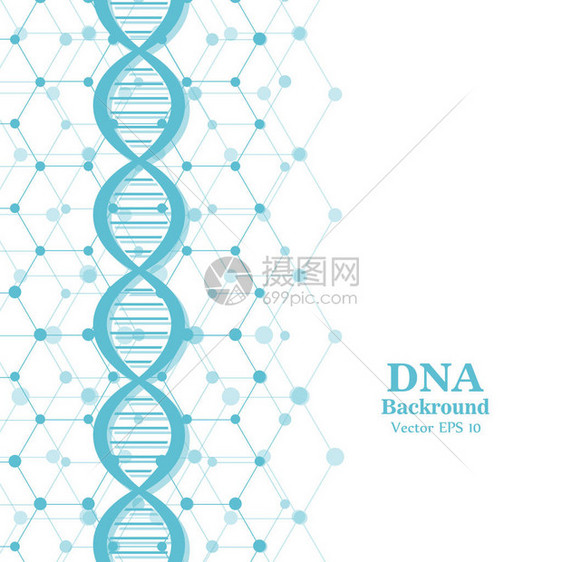 底部结构分子和遗传网目医学和科图片