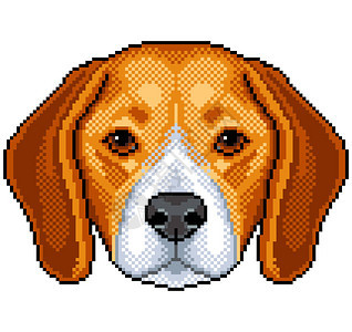 Pixelbeagle狗肖像图片