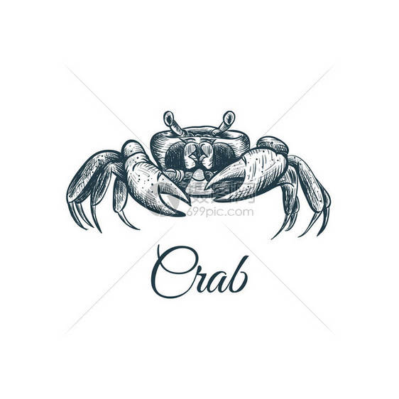 Crab草图手绘画Cra图片