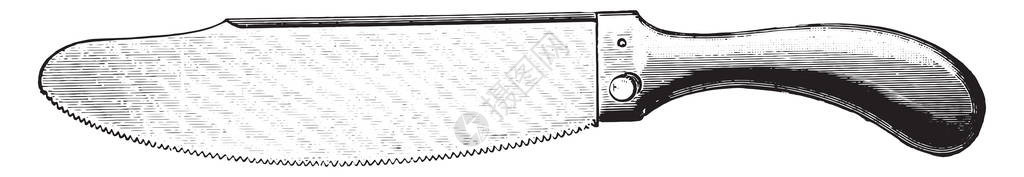 锯复古雕刻插图图片