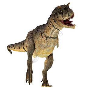 卡诺托鲁斯是一只食肉类亚霍波德恐龙图片