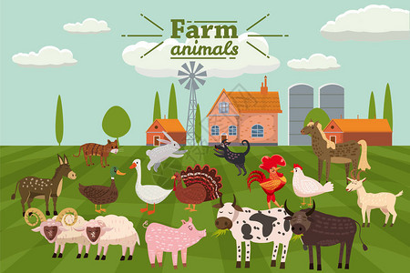农场动物和鸟类以时尚可爱的风格设置图片