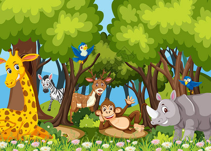 丛林中的动物插画图片